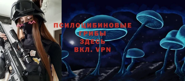 эйфоретик Богородицк