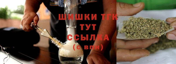 стафф Богданович