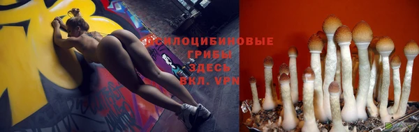 стафф Богданович