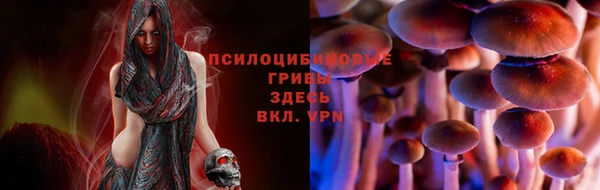 эйфоретик Богородицк
