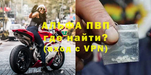 стафф Богданович