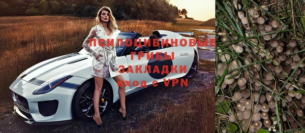 стафф Богданович